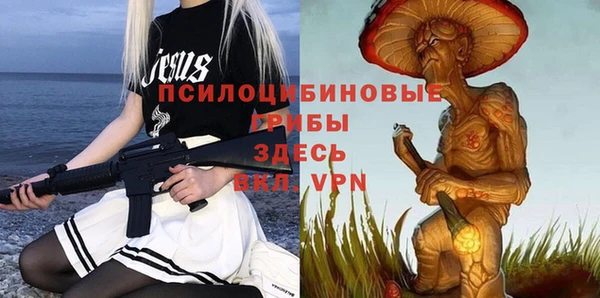 прущие крисы Армянск