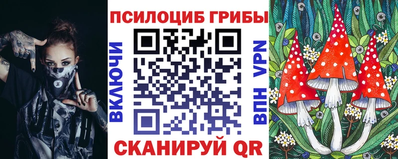 закладки  Оса  блэк спрут вход  Псилоцибиновые грибы GOLDEN TEACHER 